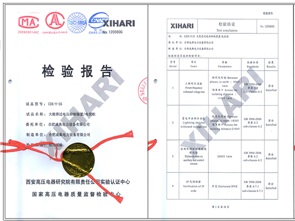 大能容过电压抑制装置（CDX-Y）